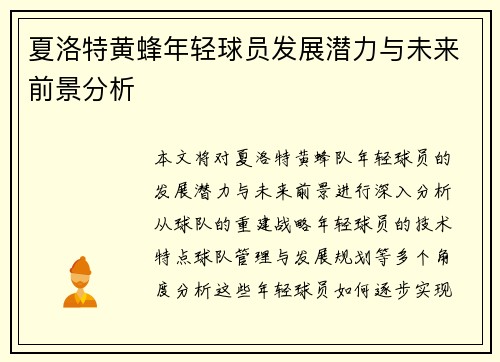 夏洛特黄蜂年轻球员发展潜力与未来前景分析